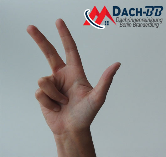 3 Gründe Warum Dachbb